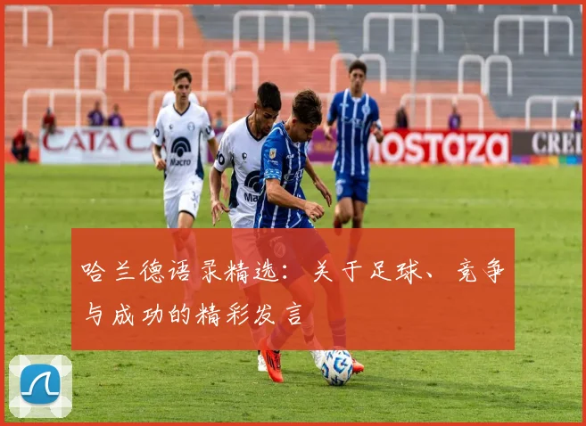 哈兰德语录精选：关于足球、竞争与成功的精彩发言
