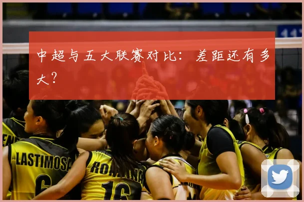 中超与五大联赛对比：差距还有多大？